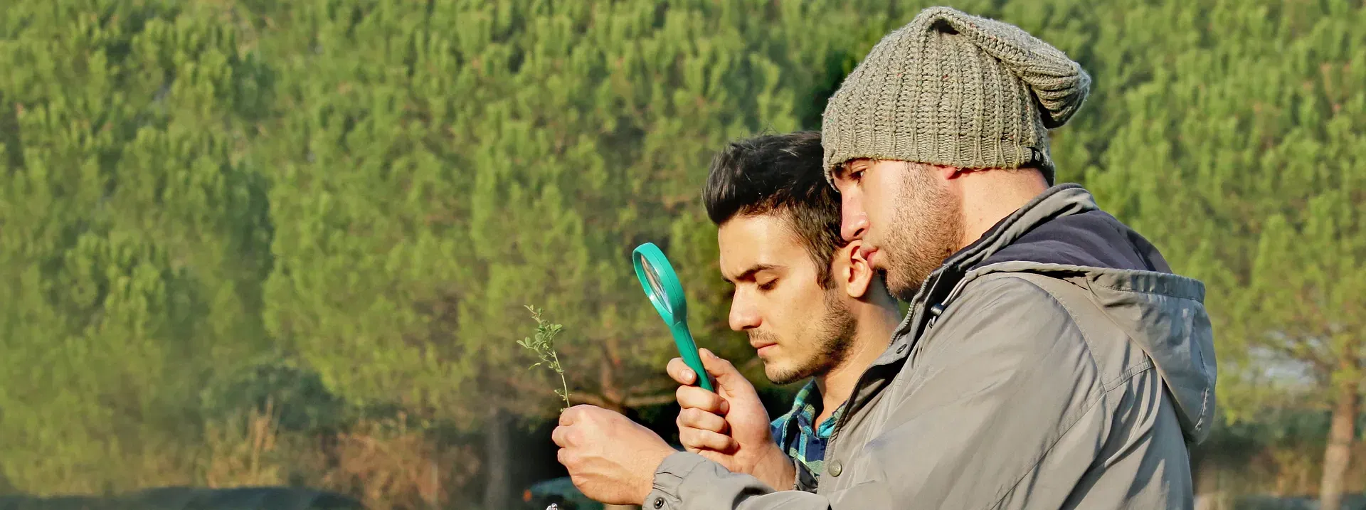 Exploring the multidisciplinary nature of environmental studies: A guide for international students