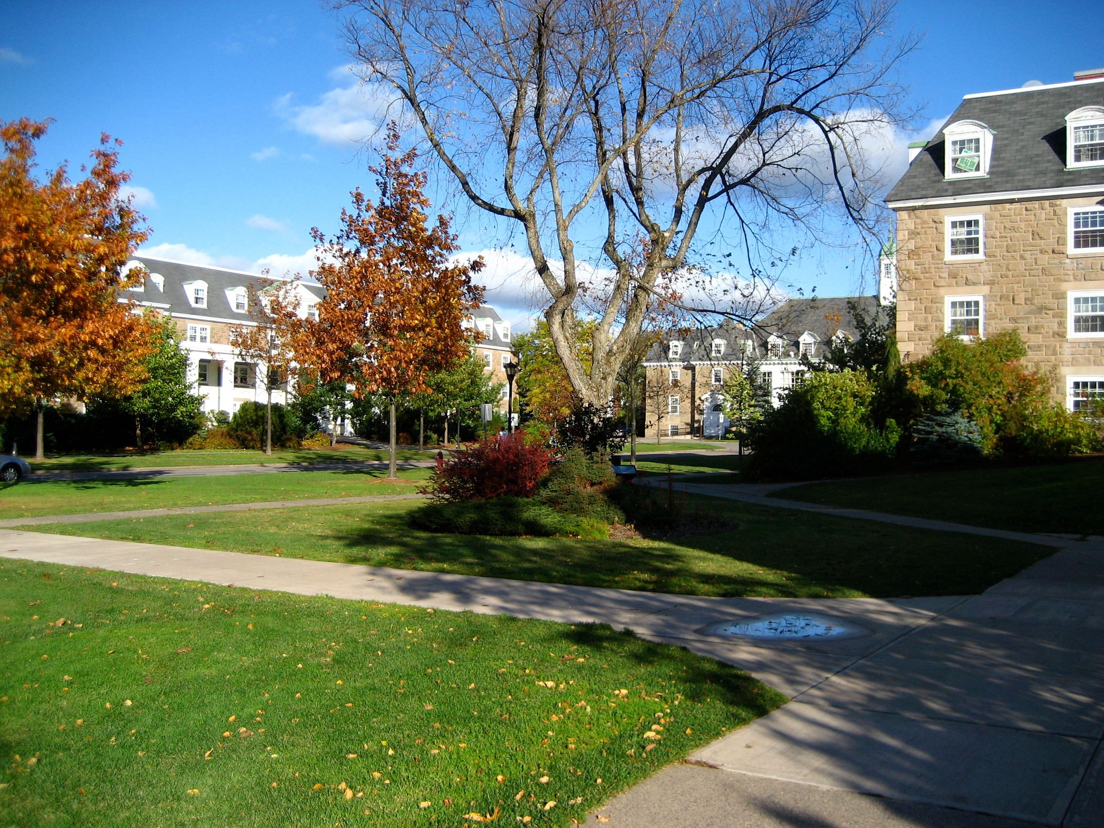 Top courses at St. Francis Xavier University