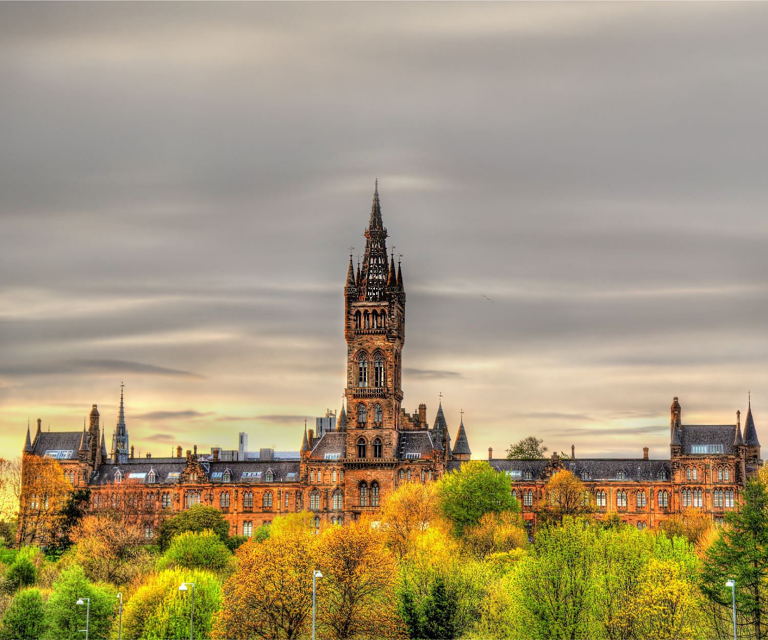 university-banner