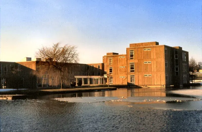 Top courses to study at University of York