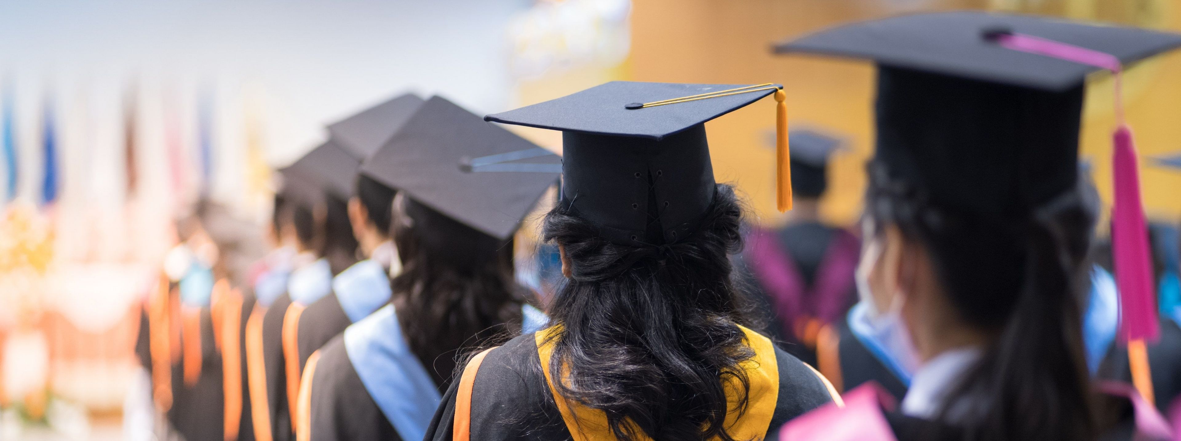 Best bachelor's degrees that offer the most job opportunities for international students