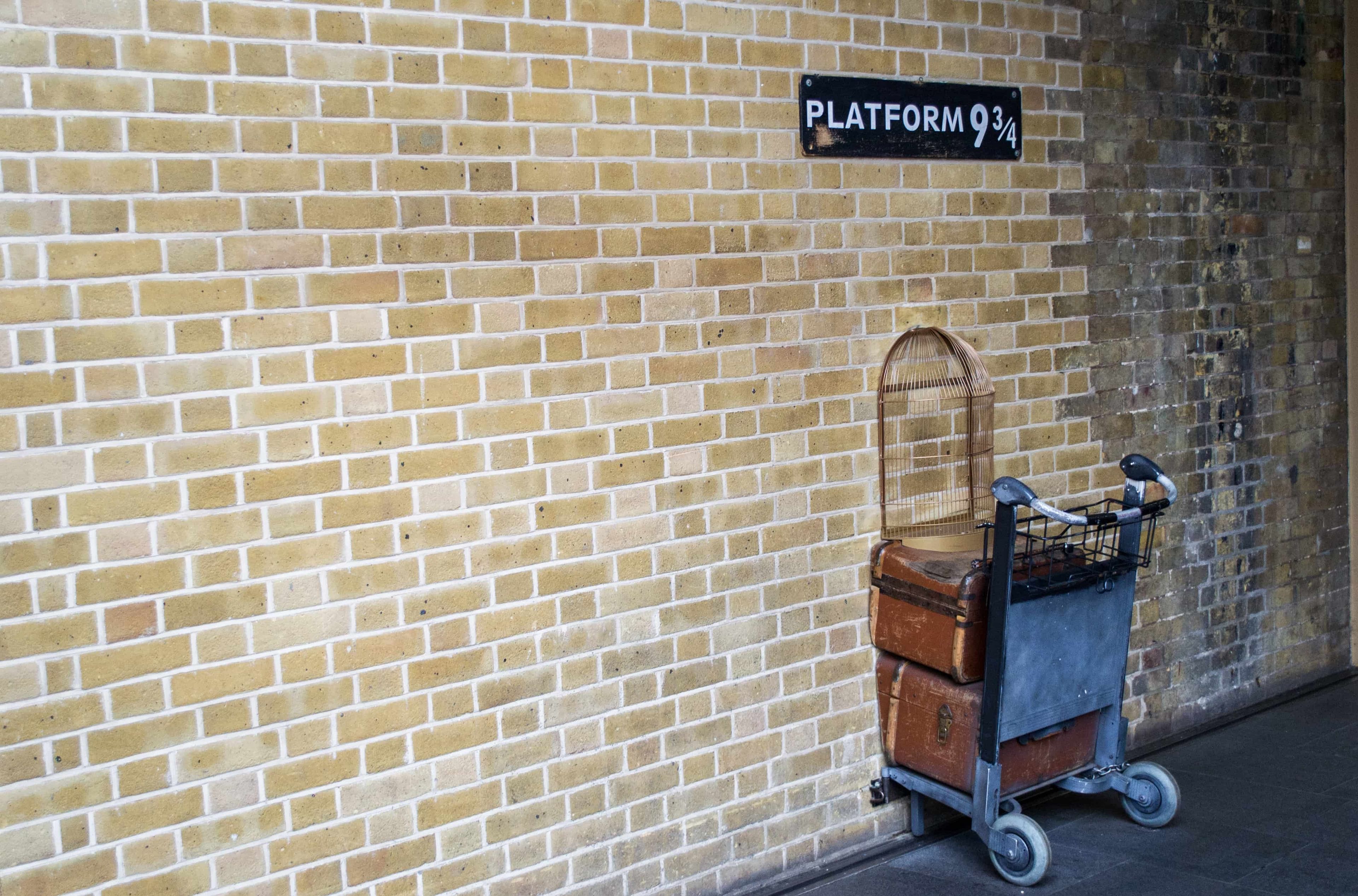 10 unusual courses you can study in the UK