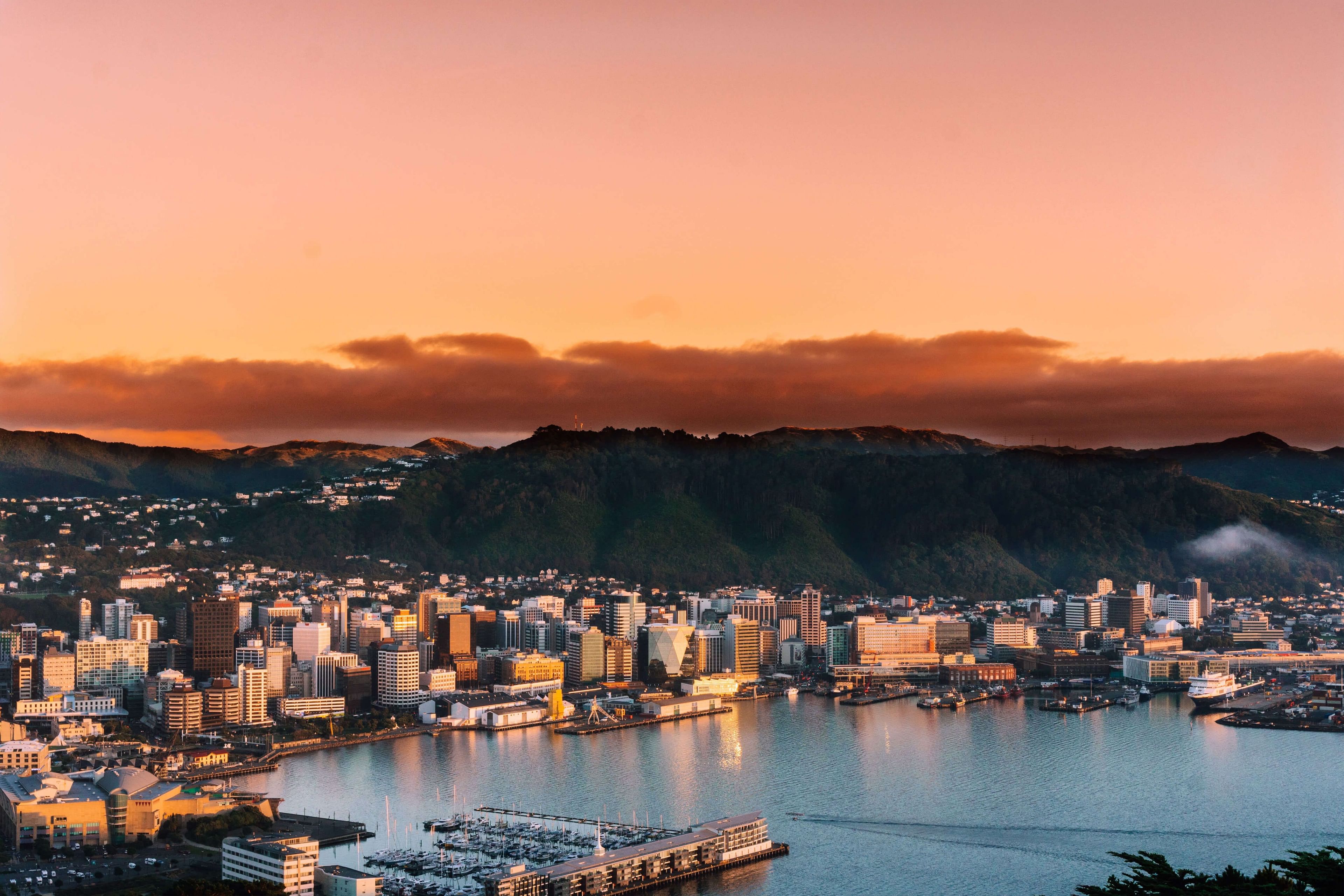 Edvoy announce partnership with Victoria University of Wellington