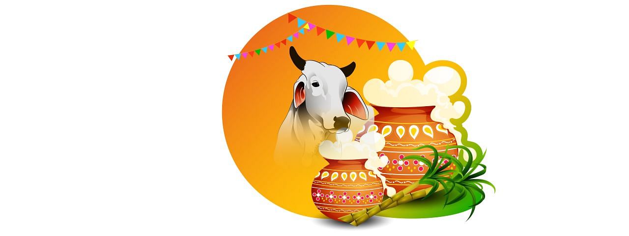 How to celebrate Pongal as an international student?