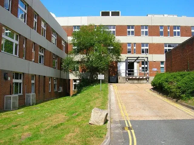 5 reasons to choose the University of Sussex