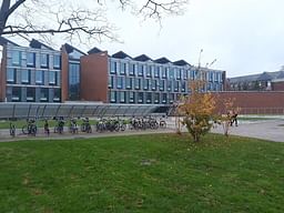 Student life at the University of Sussex