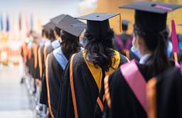 Best bachelor's degrees that offer the most job opportunities for international students