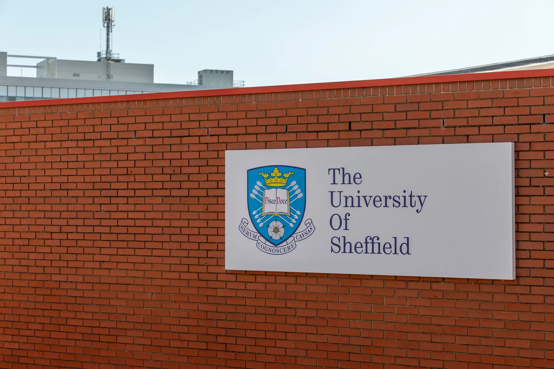 Top courses at the University of Sheffield