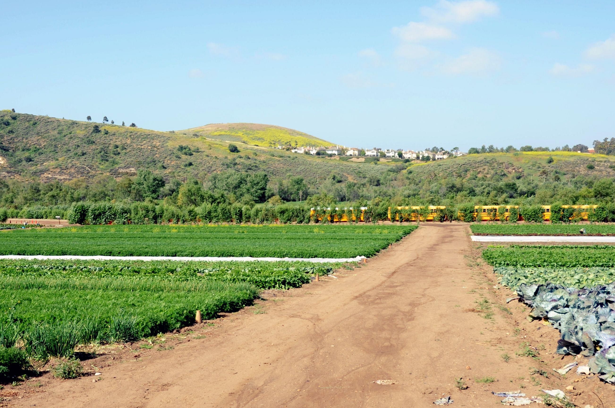 country page header